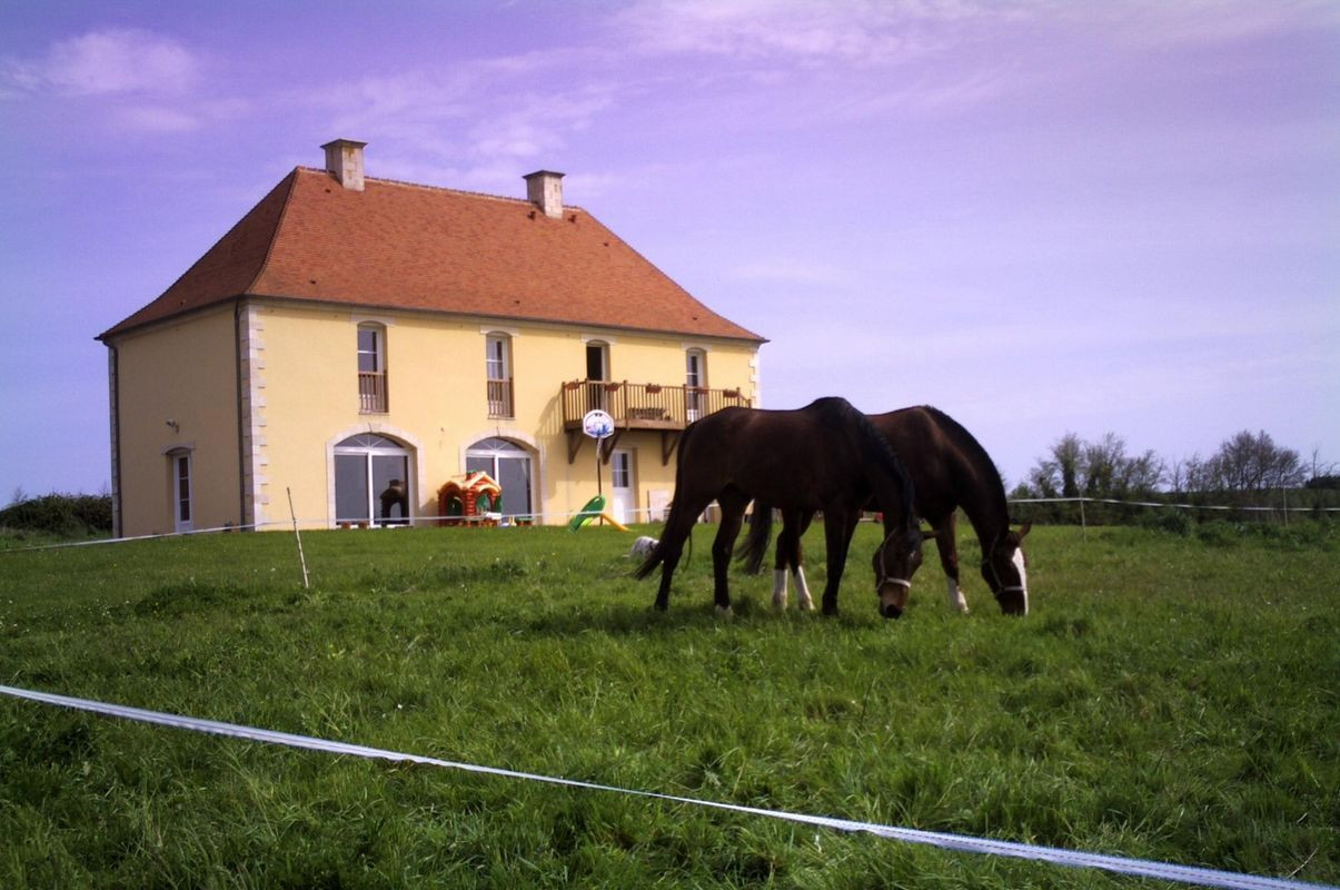 photo 0