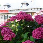 gite - LA GRANGE AUX HORTENSIAS - MANNEVILLE LA RAOULT - Eure