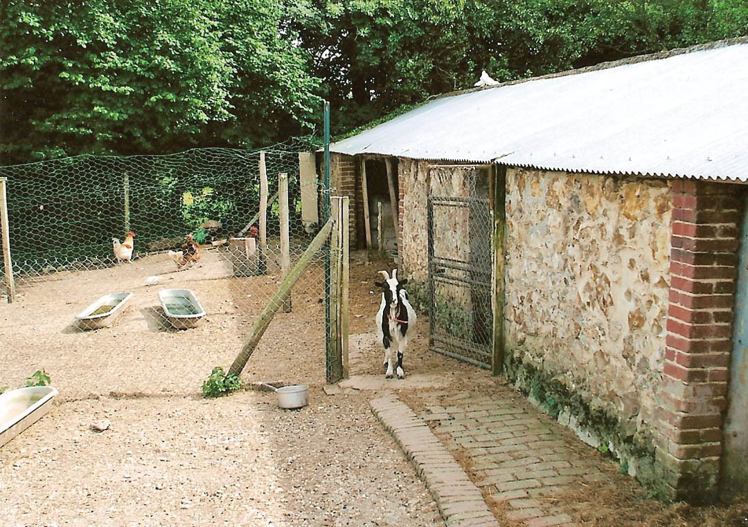 photo 46