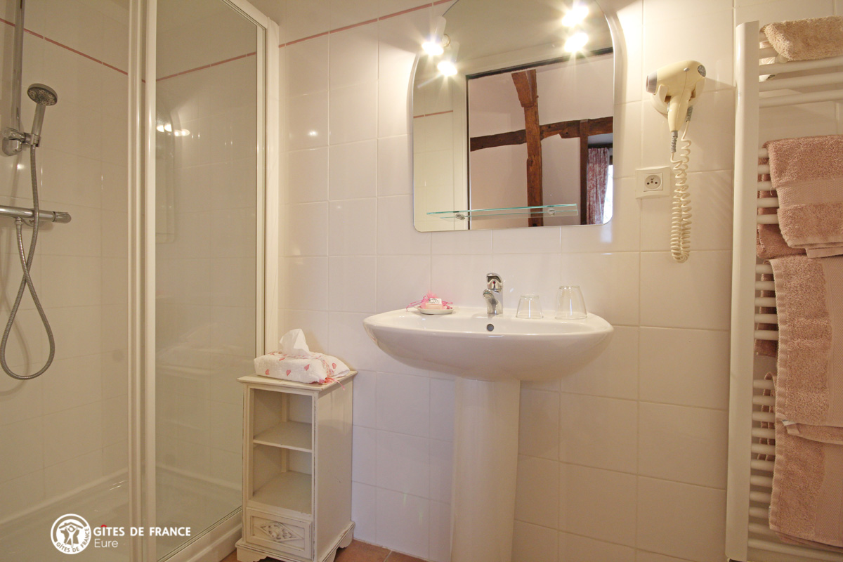 Salle d'eau chambre Eglantine photo 18