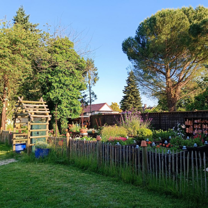 photo 45