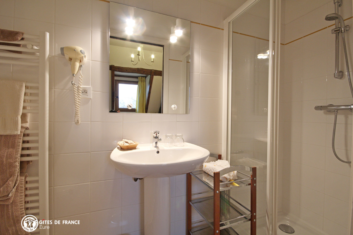 Salle d'eau chambre Genet photo 20