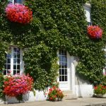 gite - La Sagerie - DOVILLE - Manche