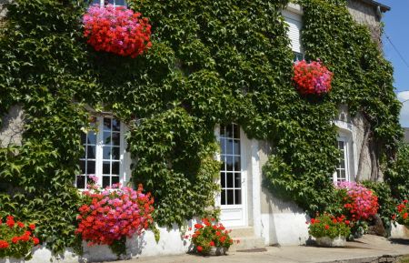 G&icirc;te n&deg;G221 Doville - Manche - photo