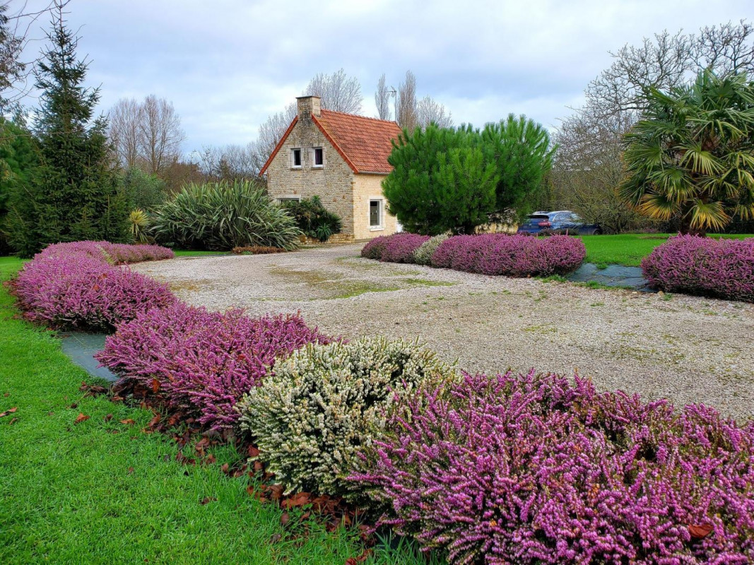 photo 0