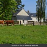 gite - L'Amandière - STE MARIE DU MONT - Manche
