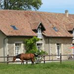 Les herbages des chevaux devant le g&icirc;te