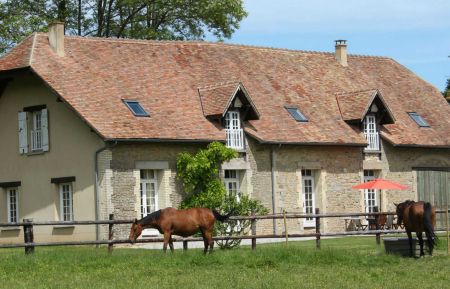 G&icirc;te n&deg;G0550 Semall&eacute; - Orne - Les herbages des chevaux devant le g&icirc;te