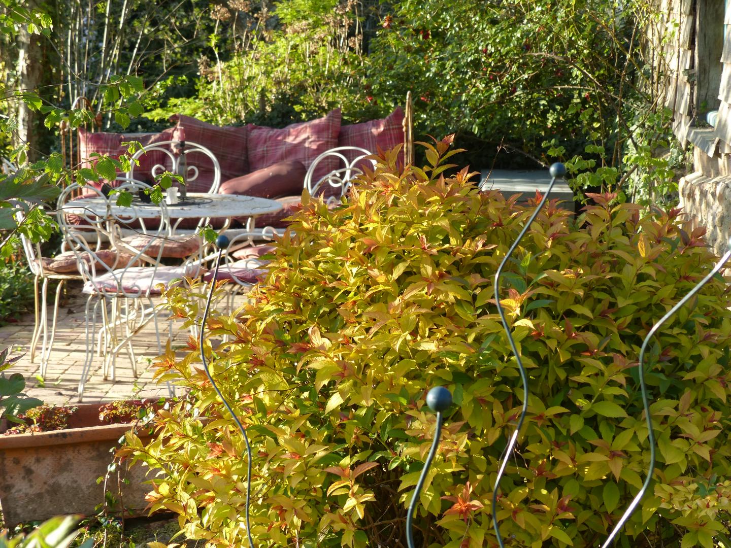 Terrasse de la chambre Pivoine donnant sur le jardin photo 20