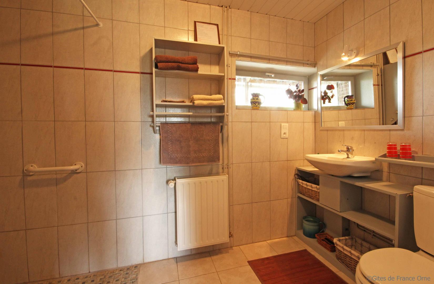 salle de douche italienne accessible fauteuil,lavabo et sanitaire dans la même pièce. photo 16