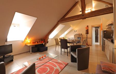 G&icirc;te n&deg;G08541 La Ferri&egrave;re-aux-&Eacute;tangs - Orne - lodge oranger avec son espace salon et repas