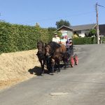 Promenade dans les chemins