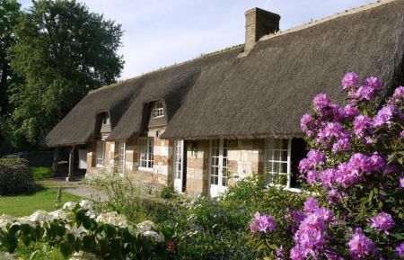 Location gîte "Les Cotières" à St Antoine la Forêt n° G2016. Gîte n°G2016 Saint-Antoine-la-Forêt - Seine-Maritime - Location gîte "Les Cotières" à St Antoine la Forêt n° G2016.