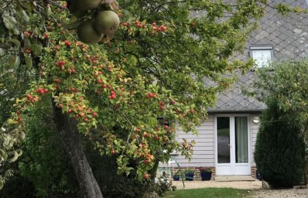 G&icirc;te n&deg;G1489 Ancretteville-sur-Mer - Seine-Maritime - photo