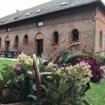 Jardin Extérieur en Août Jardin Extérieur en Août